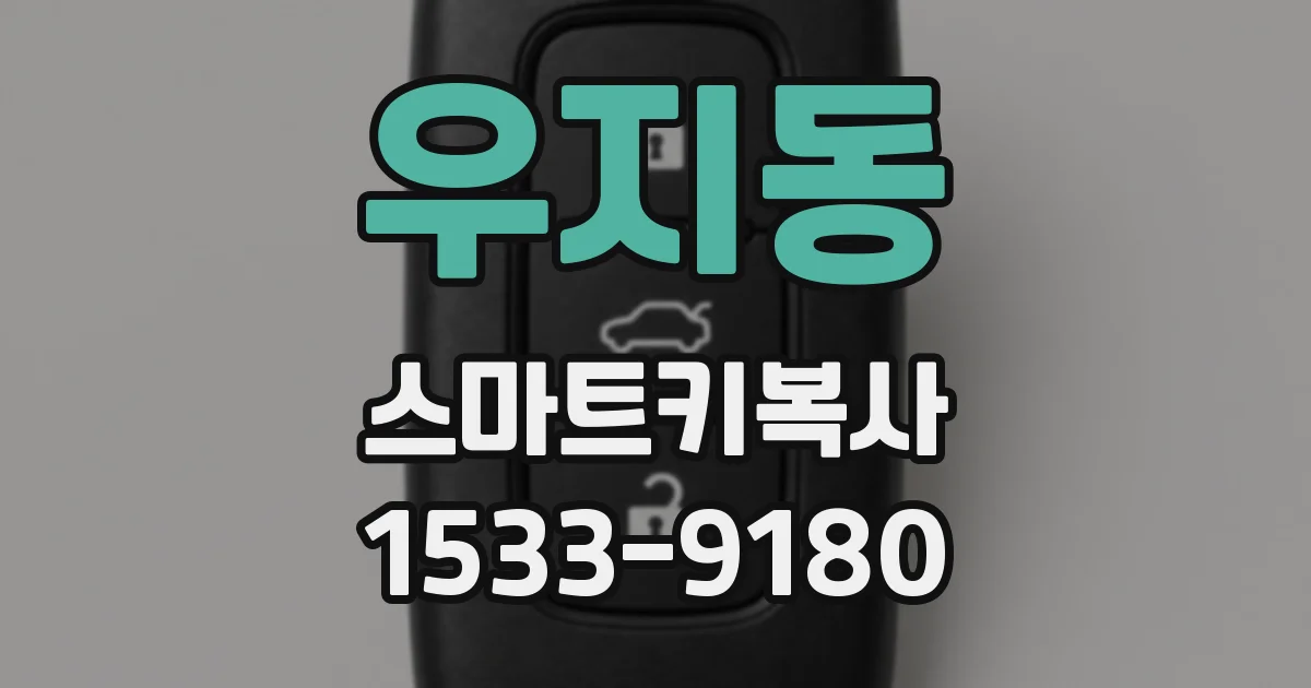 우지동 스마트키복사