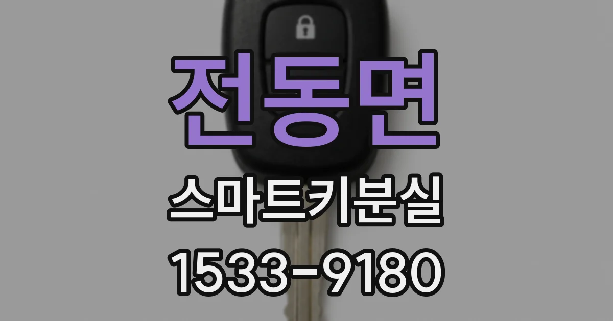 전동면 스마트키분실
