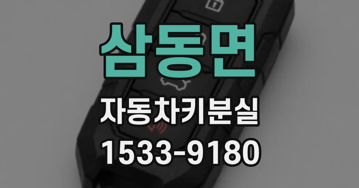 삼동면 자동차키분실