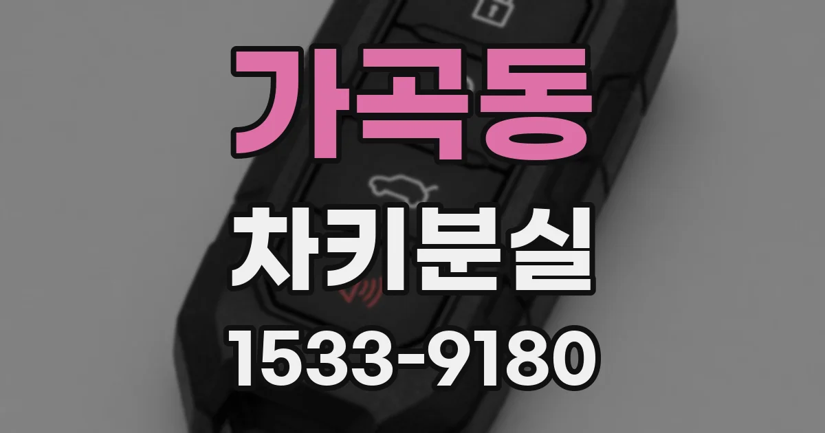 가곡동 차키분실