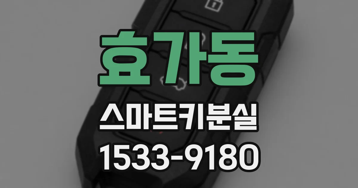 효가동 스마트키분실
