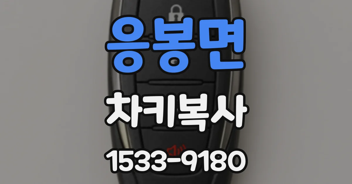 응봉면 차키복사