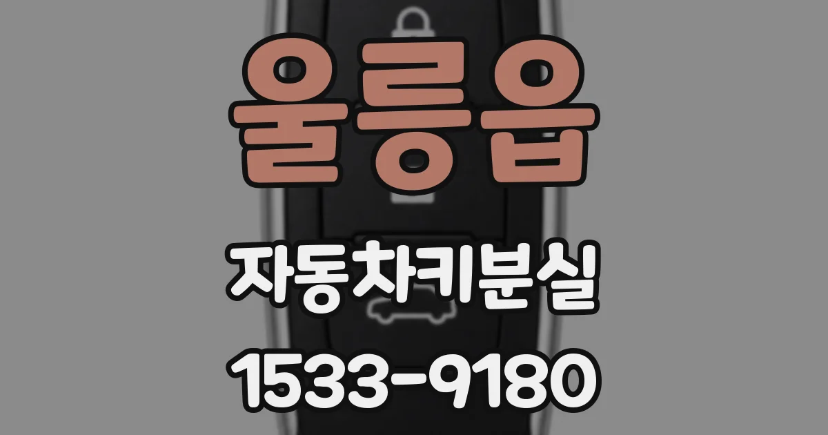 울릉읍 자동차키분실