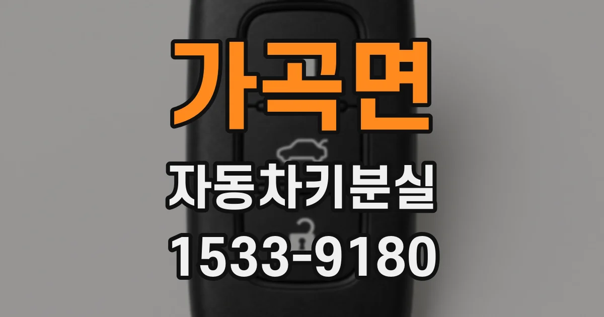 가곡면 자동차키분실