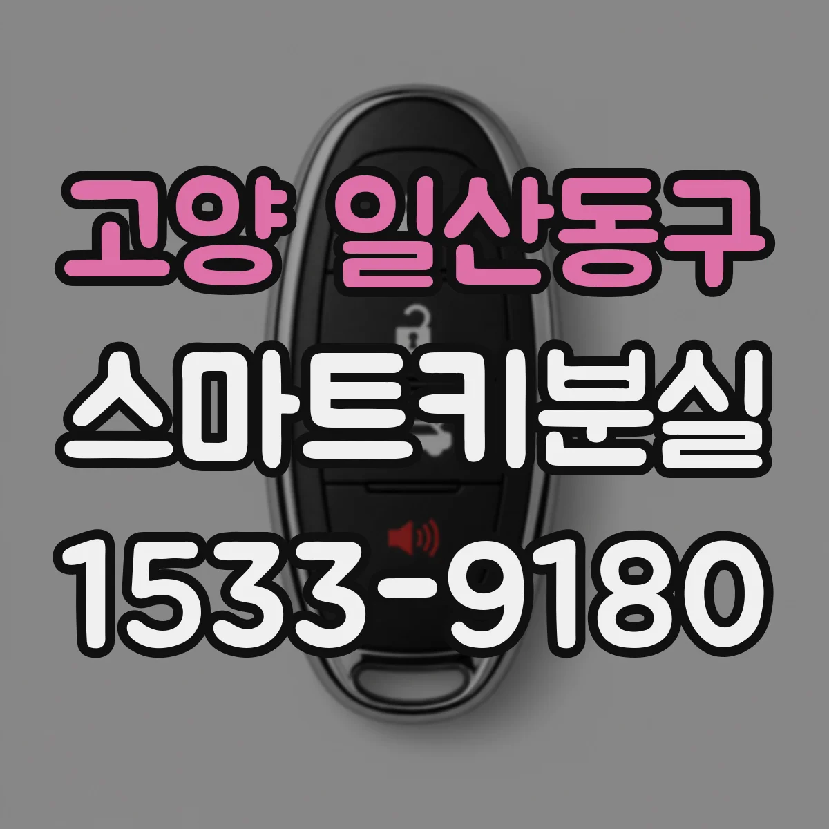 고양 일산동구 스마트키분실