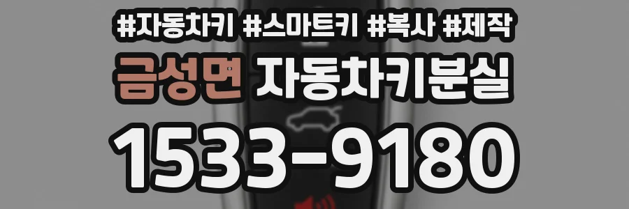금성면 자동차키분실