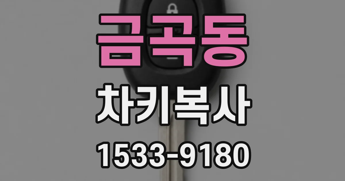 금곡동 차키복사