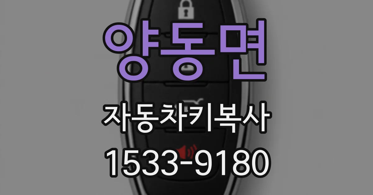 양동면 자동차키복사