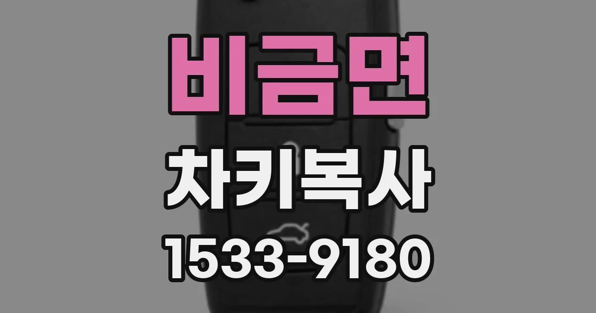 비금면 차키복사