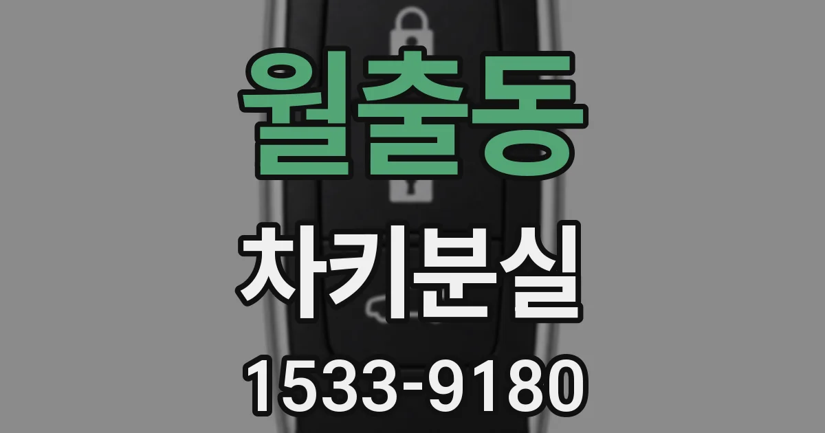 월출동 차키분실