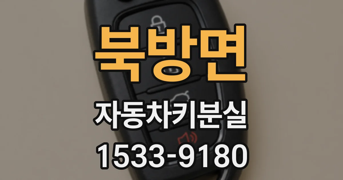 북방면 자동차키분실