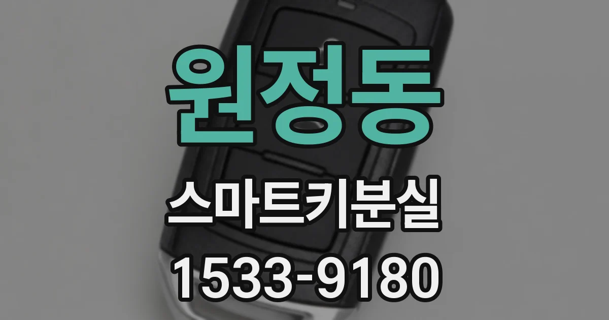 원정동 스마트키분실