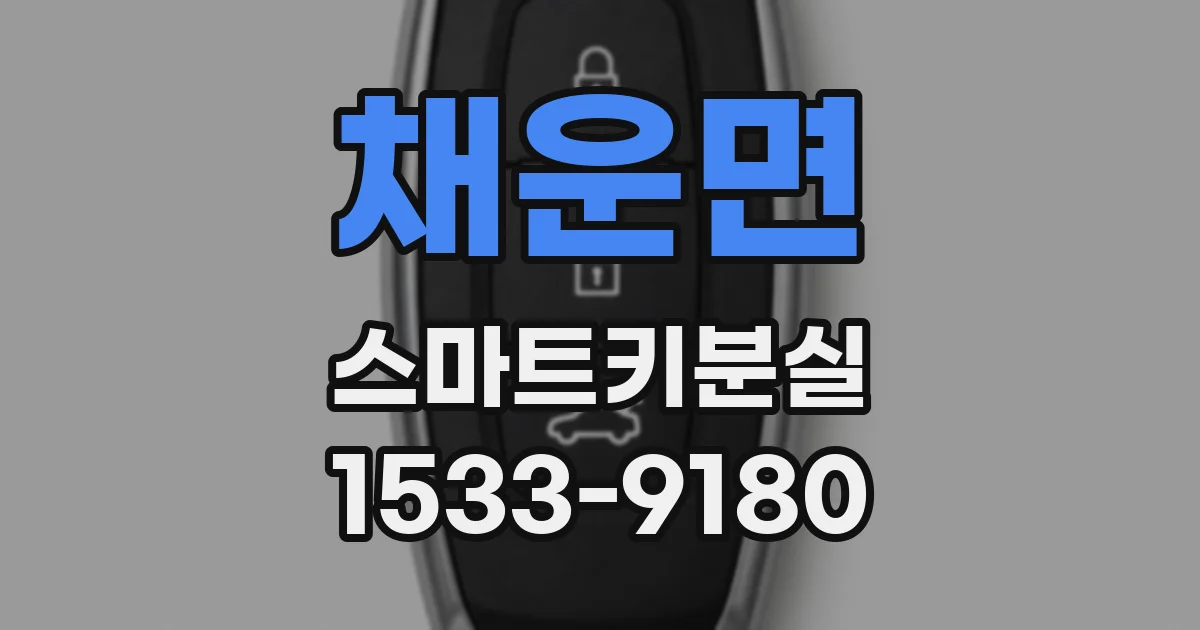 채운면 스마트키분실