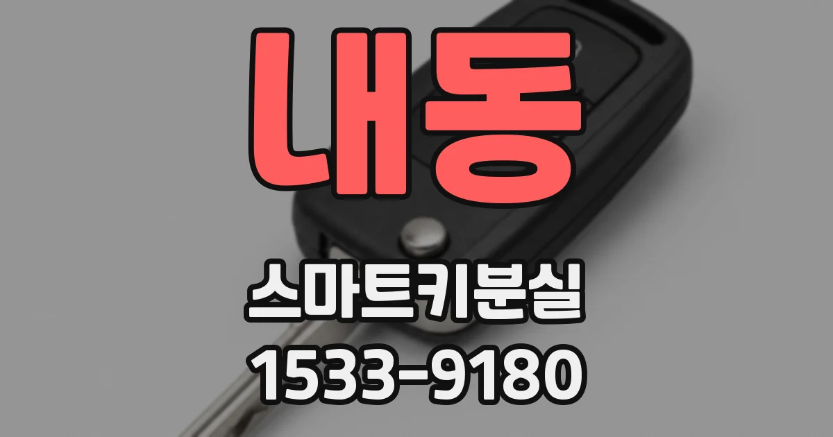 내동 스마트키분실