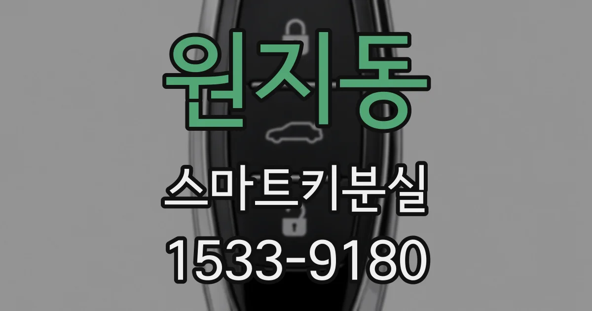 원지동 스마트키분실