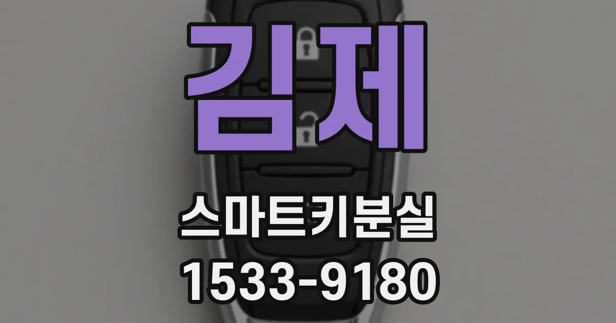 김제 스마트키분실