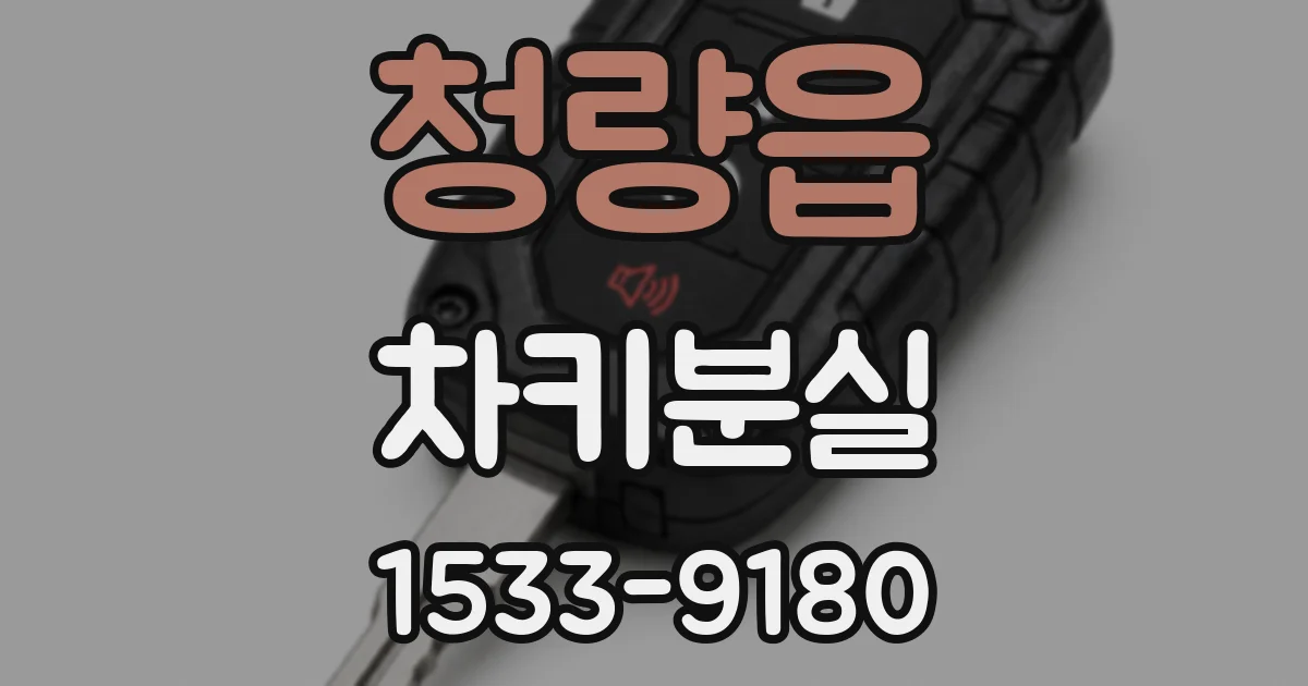 청량읍 차키분실