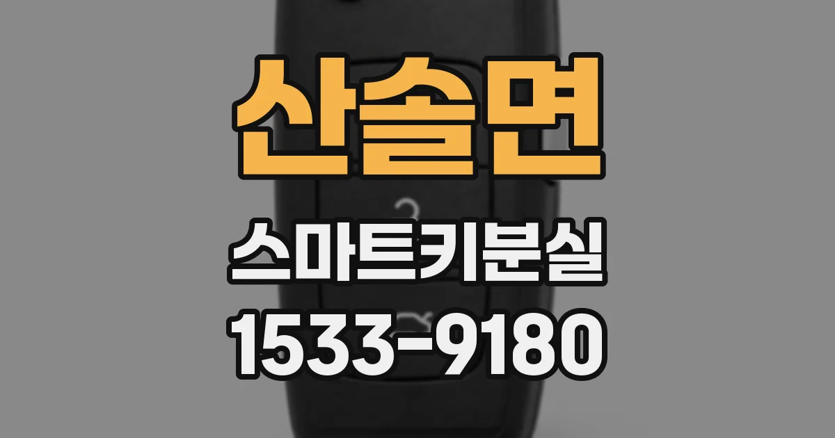 산솔면 스마트키분실