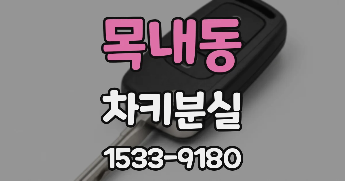 목내동 차키분실