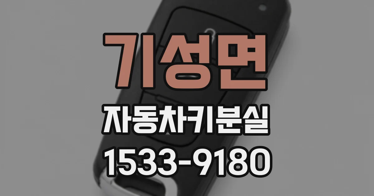 기성면 자동차키분실