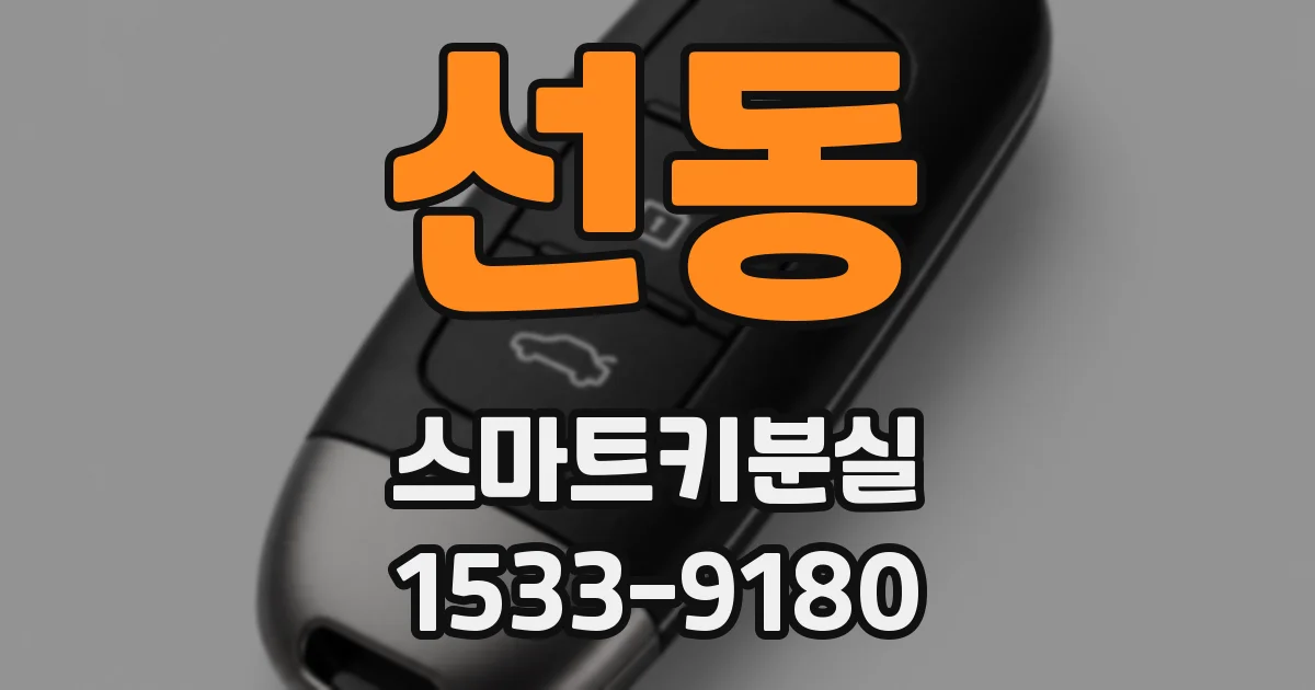 선동 스마트키분실