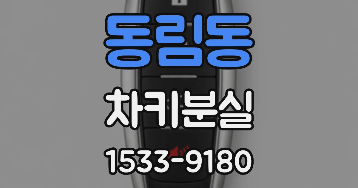 동림동 차키분실