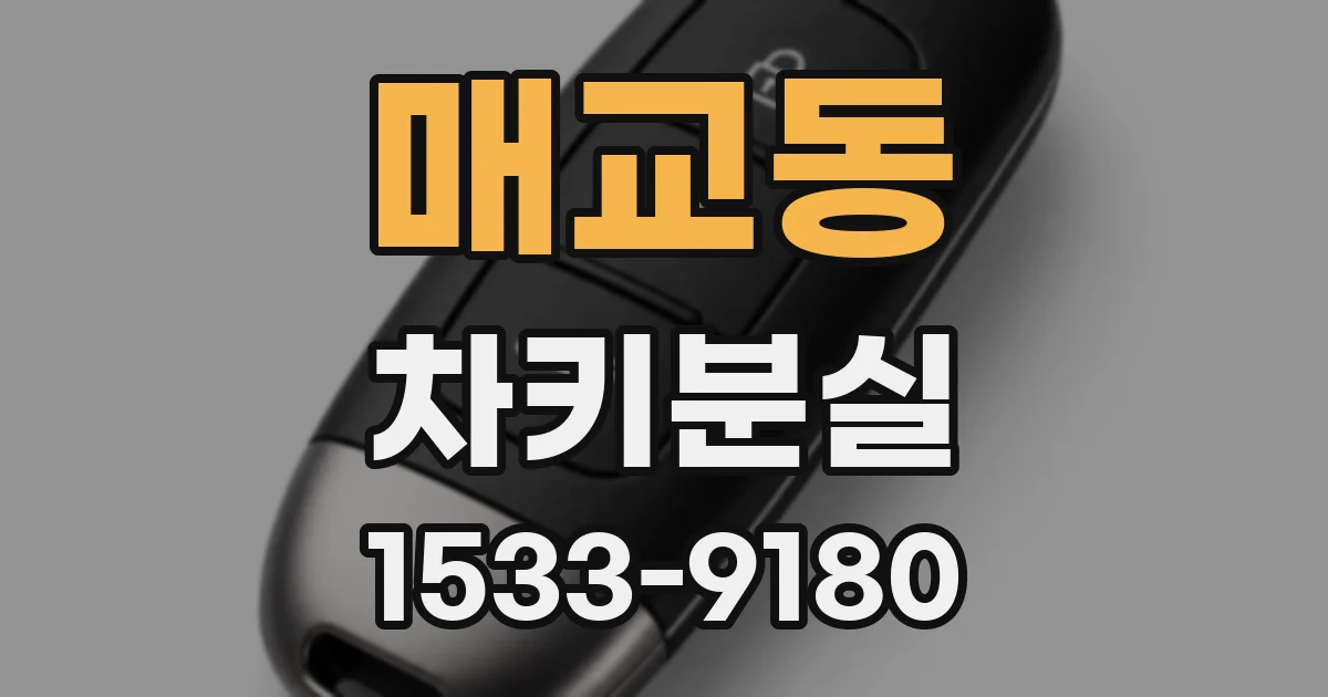 매교동 차키분실