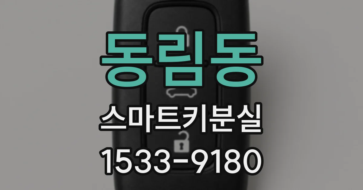동림동 스마트키분실