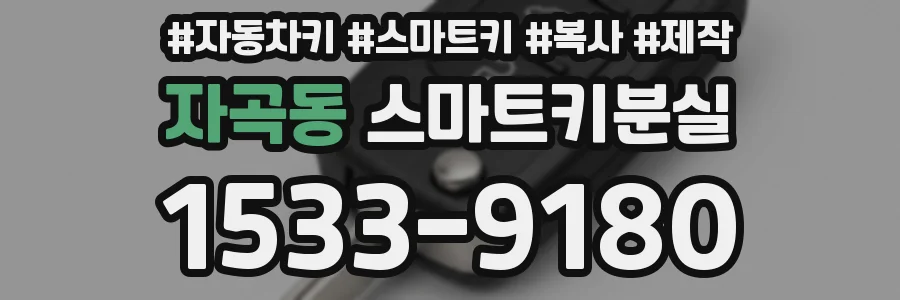 자곡동 스마트키분실