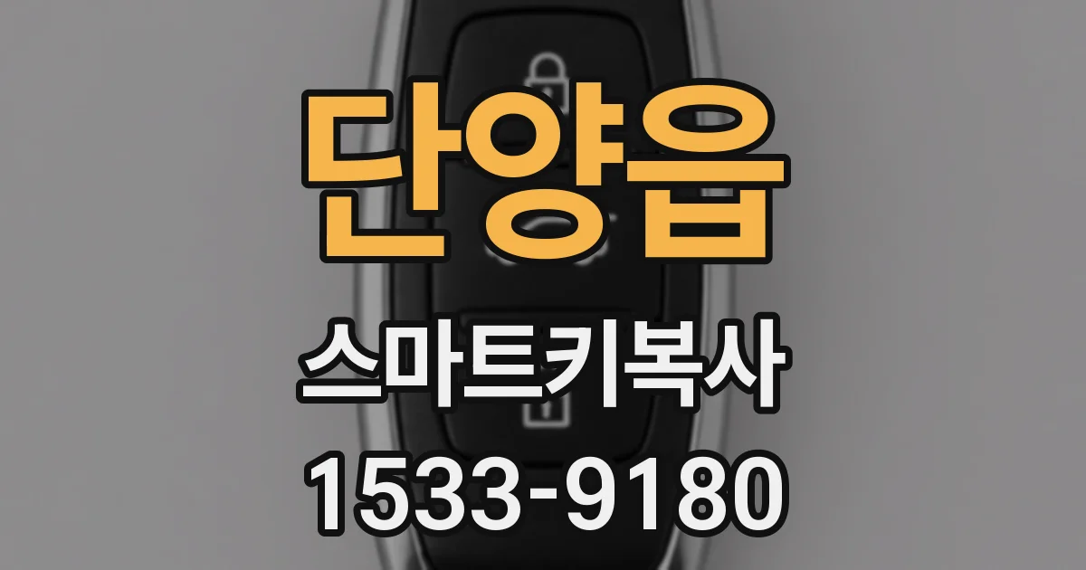 단양읍 스마트키복사