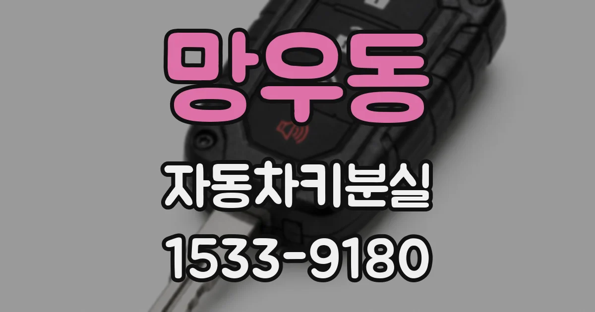 망우동 자동차키분실