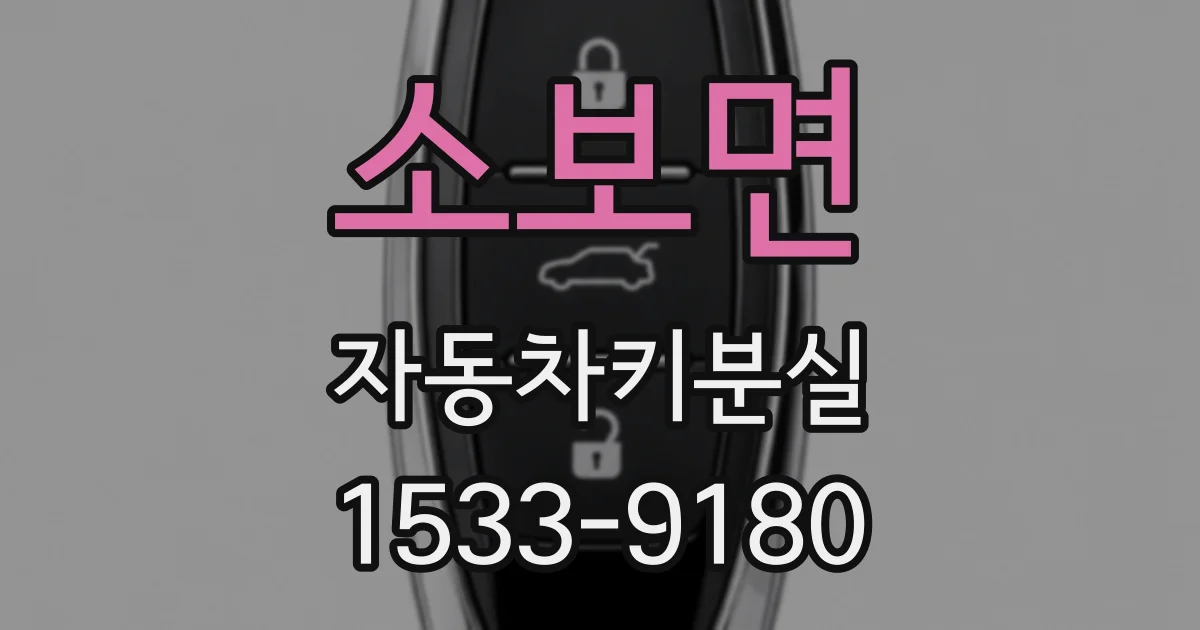소보면 자동차키분실