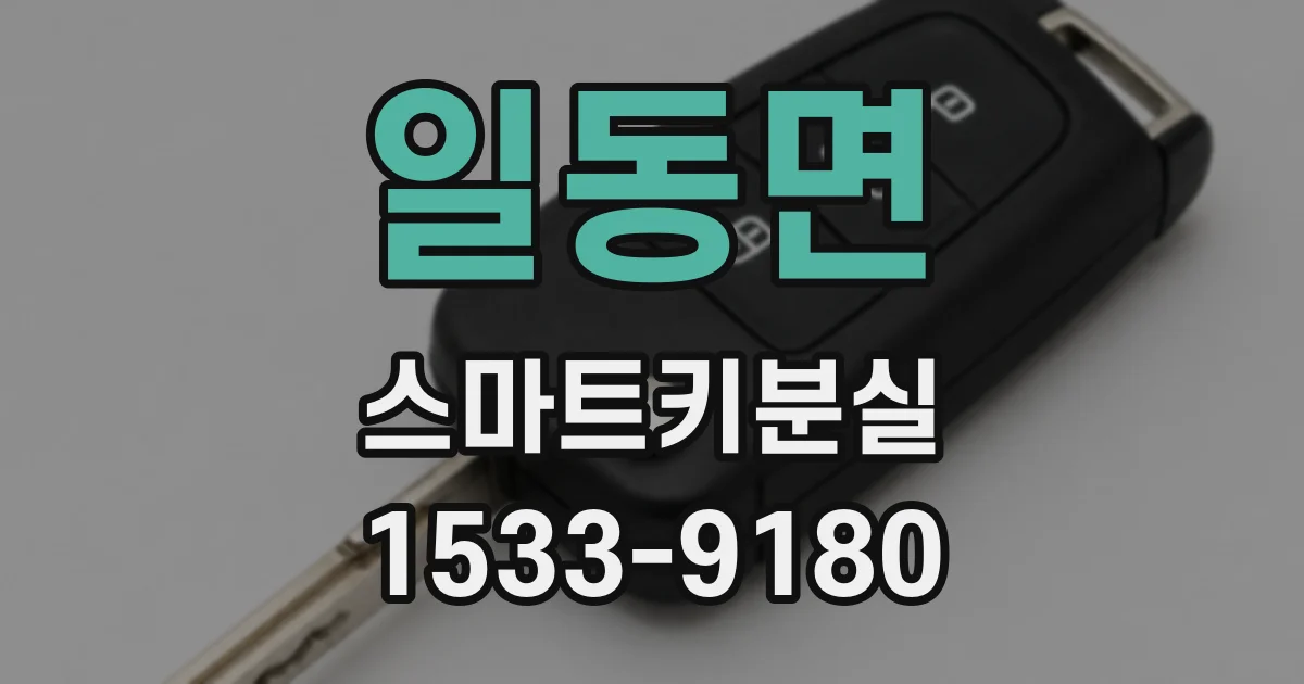 일동면 스마트키분실