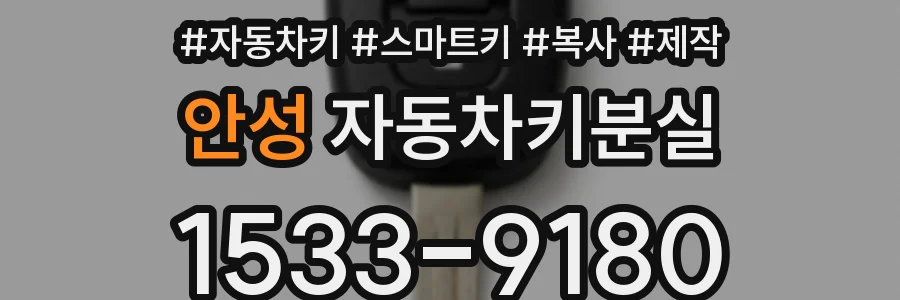 안성 자동차키분실