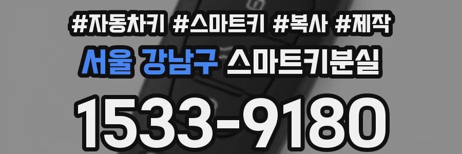 서울 강남구 스마트키분실