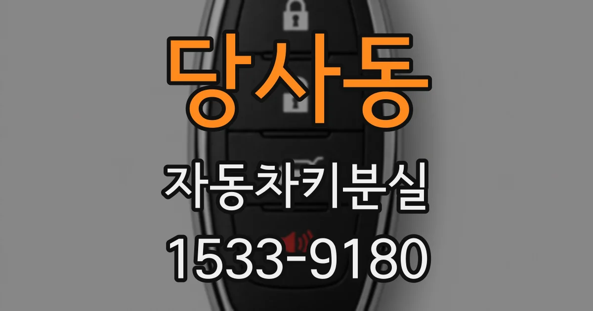당사동 자동차키분실