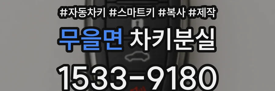 무을면 차키분실