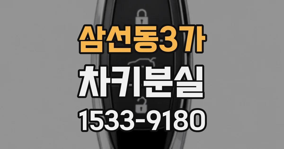 삼선동3가 차키분실