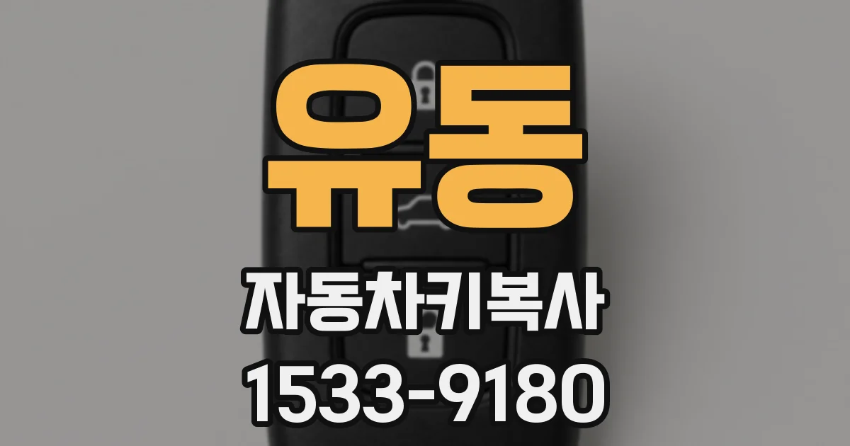 유동 자동차키복사