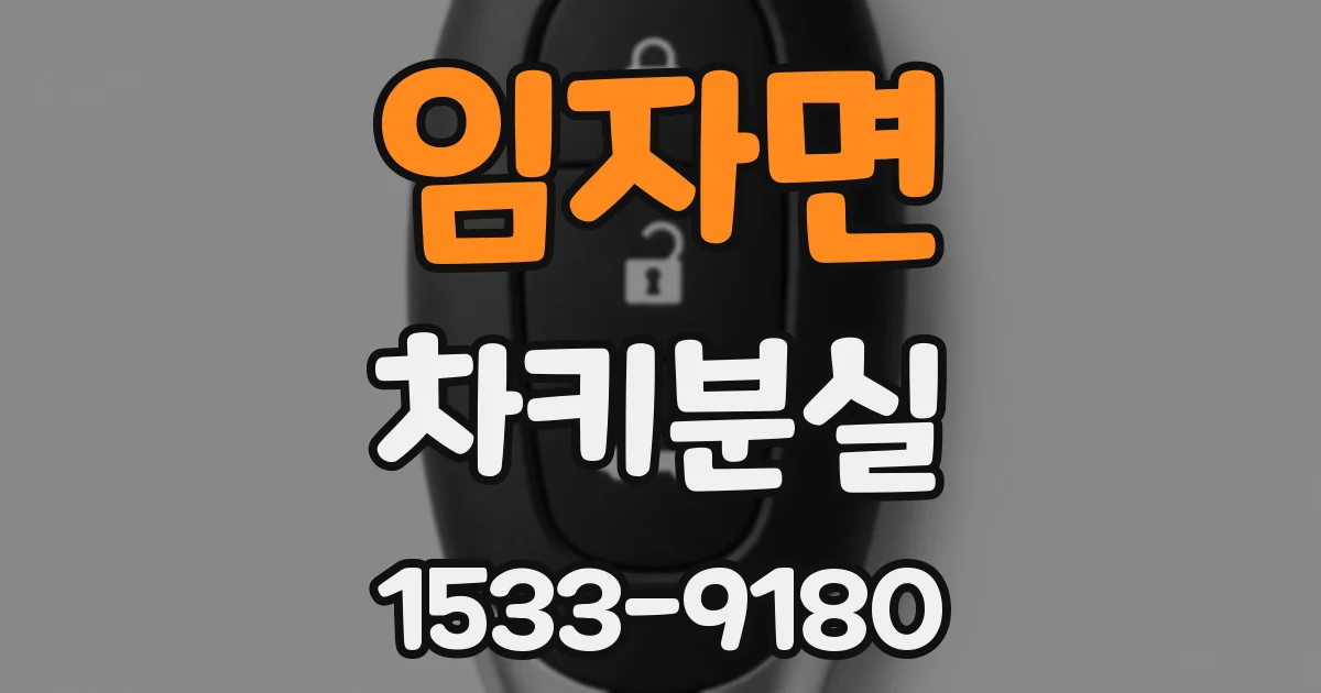 임자면 차키분실