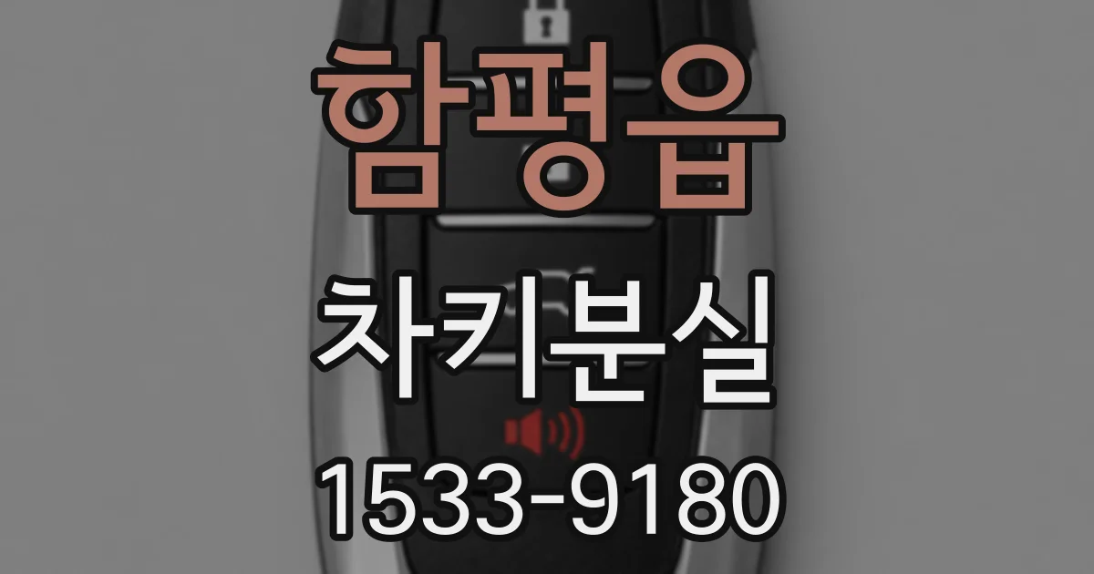 함평읍 차키분실