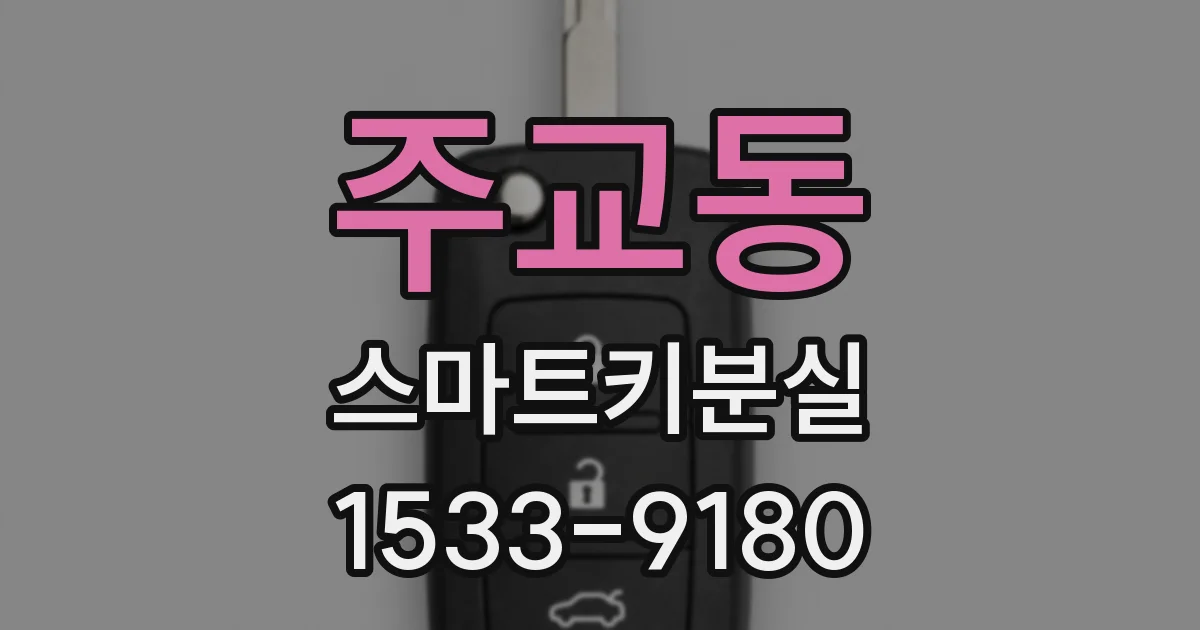 주교동 스마트키분실