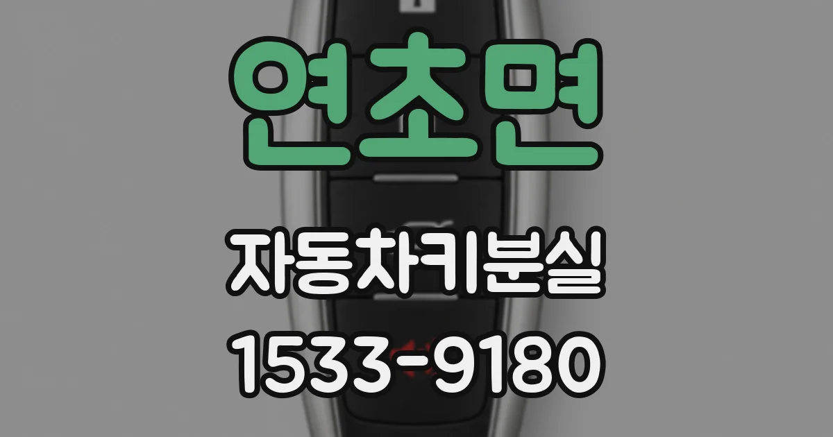 연초면 자동차키분실