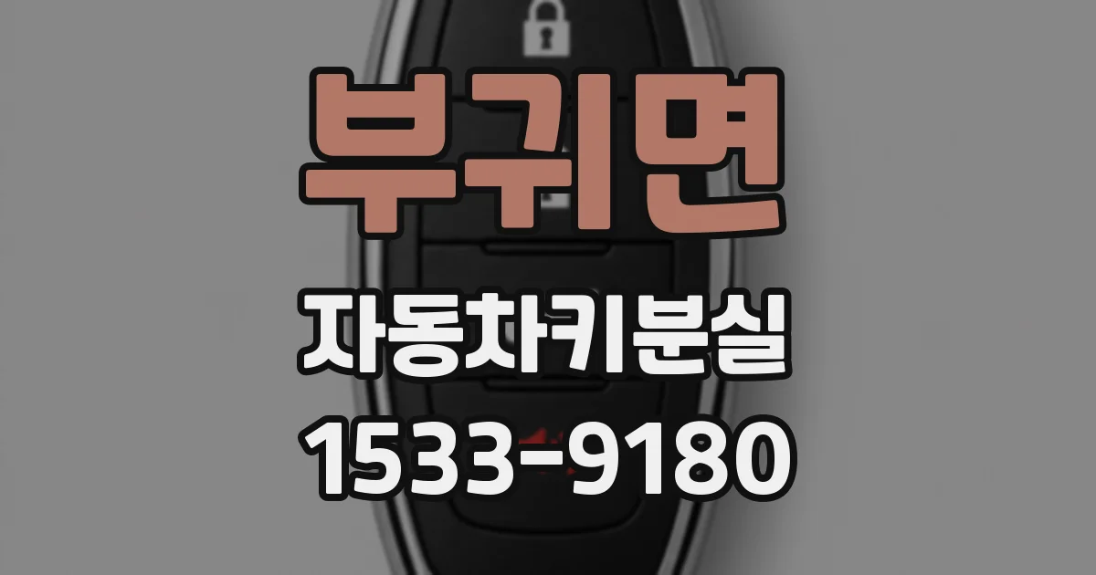 부귀면 자동차키분실