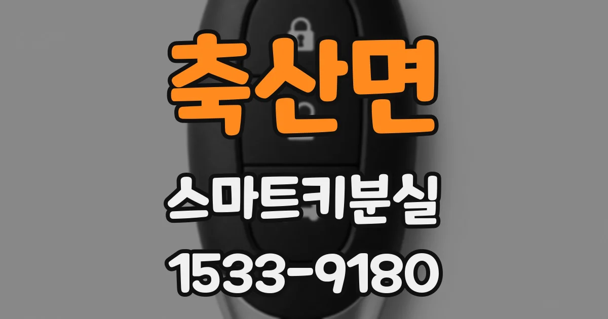 축산면 스마트키분실