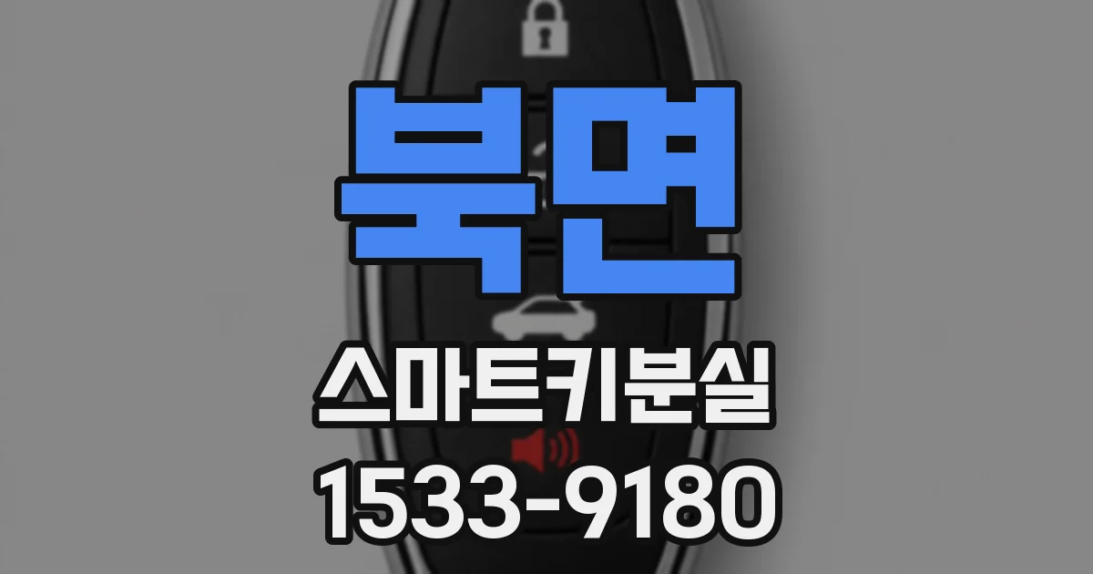북면 스마트키분실