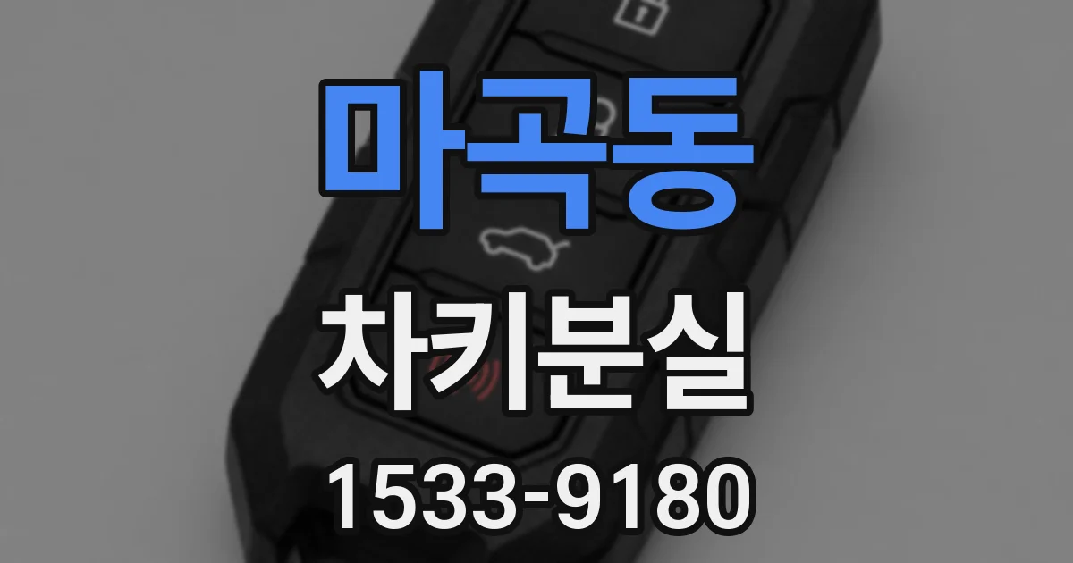 마곡동 차키분실