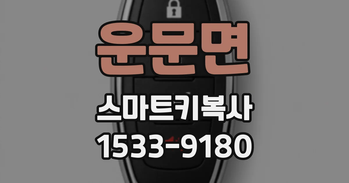운문면 스마트키복사