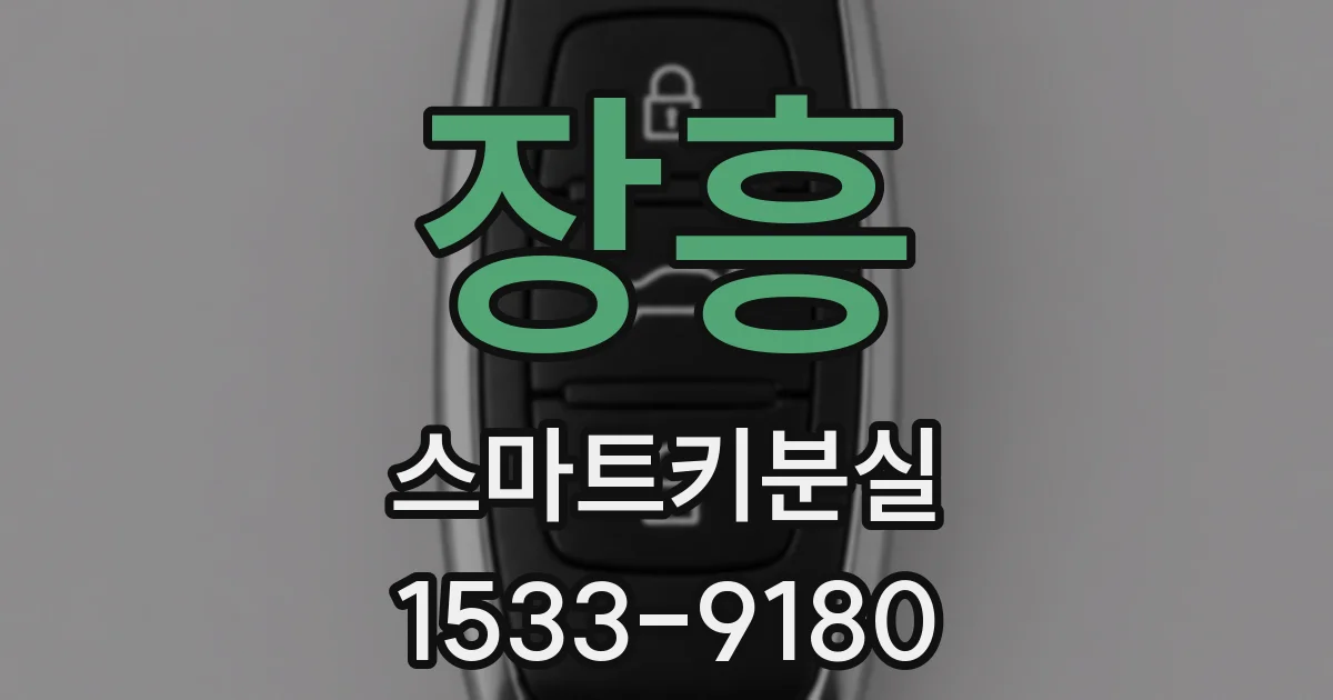 장흥 스마트키분실