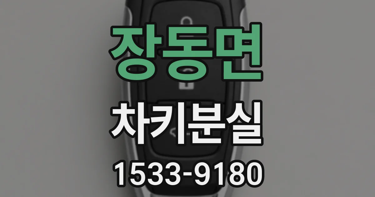 장동면 차키분실
